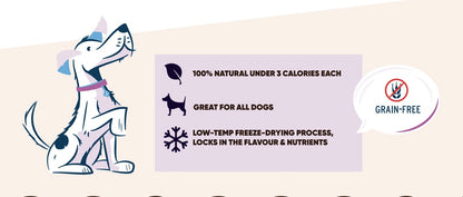 Dog Freeze Dried Chicken - Paws Discovery 