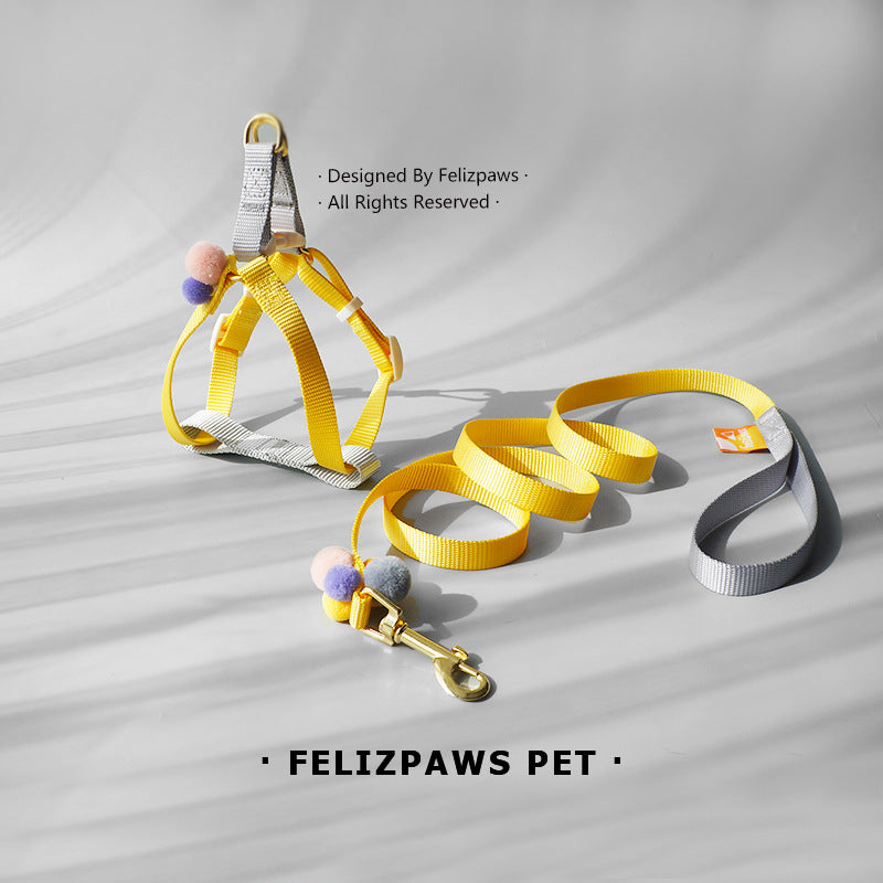 Small Breed Harness Set with Leash - Paws Discovery 