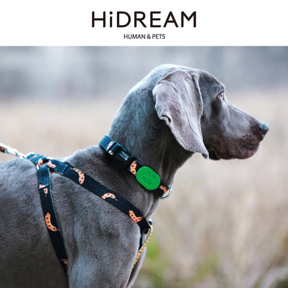 HiDream Dog Collar - Paws Discovery 
