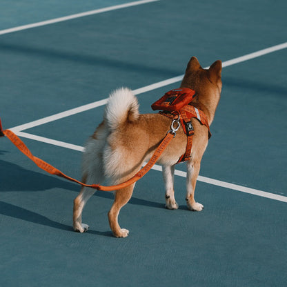 Pet Carry Clip On Bag - Paws Discovery 