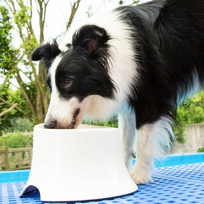 Elevated Slop Stainless Steel Bowl - Paws Discovery 