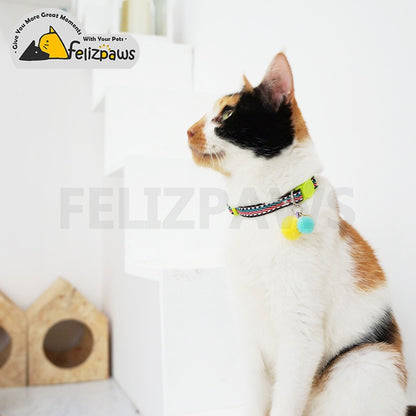 Breakaway Cat Collar Webbing Design - Paws Discovery 