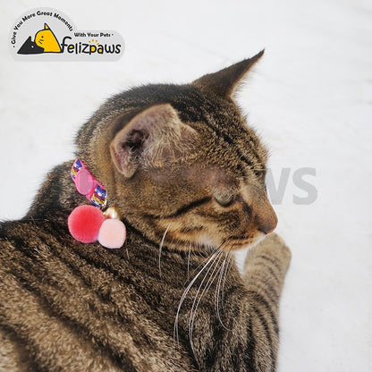 Breakaway Cat Collar Webbing Design - Paws Discovery 