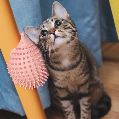 Hedgehog Scratcher For Cat - Paws Discovery 