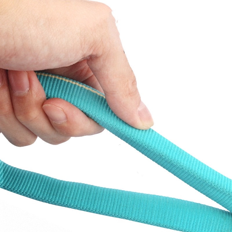 Nylon Rope Training P Type Leash