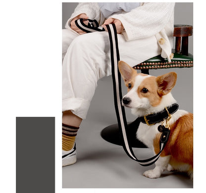 Cowhide Leather & Handmade Webbing Pet Leash - Paws Discovery 