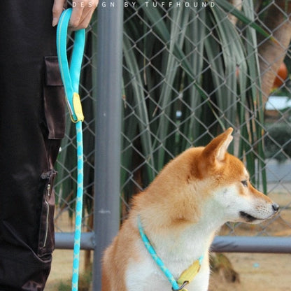 Nylon Rope Training P Type Leash - Paws Discovery 