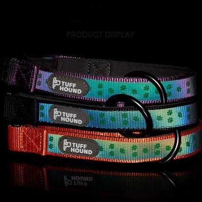 Night Reflective Dog Collar - Paws Discovery 