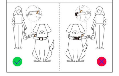 Half P-Chain Training Collar - Paws Discovery 