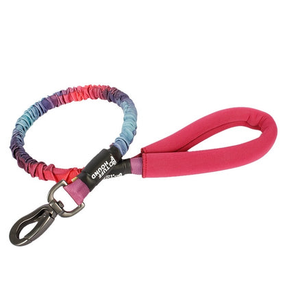 Shock Absorbing Padded Handle Dog Leash - Paws Discovery 