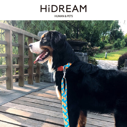 HiDream Adjustable Dog Leash - Paws Discovery 