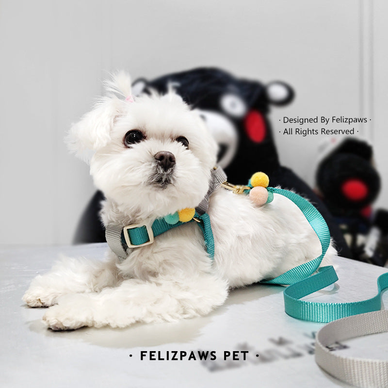 Small Breed Harness Set with Leash - Paws Discovery 