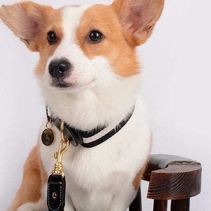 Cowhide Leather & Handmade Webbing Pet Collar - Paws Discovery 