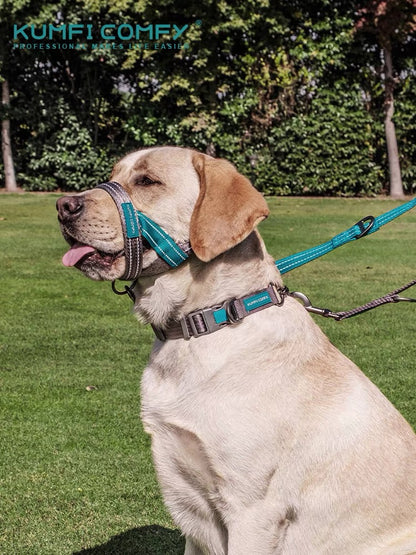 Dog Halti Training HeadCollar - Paws Discovery 