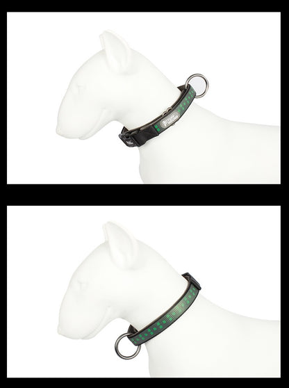 Night Reflective Dog Collar - Paws Discovery 