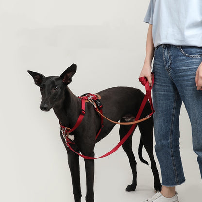 Adjustable No Pull Dog Harness - Paws Discovery 