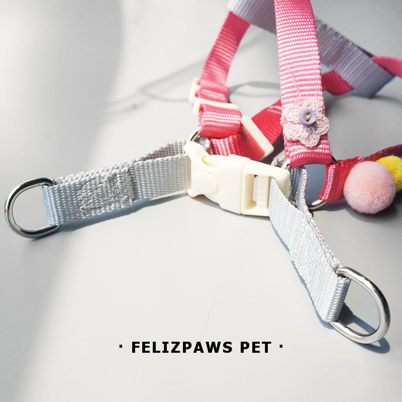 Small Breed Harness Set with Leash - Paws Discovery 