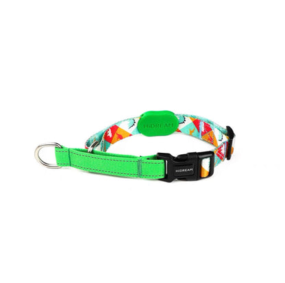 Half P-Chain Training Collar - Paws Discovery 