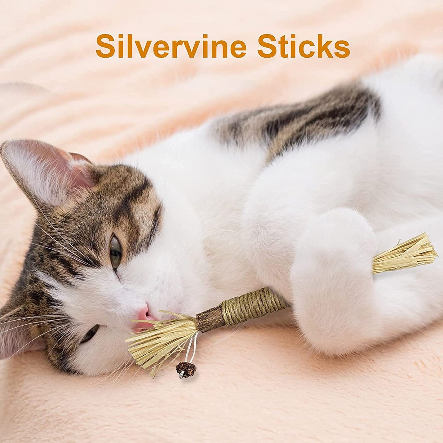 Catnip Chewing Sticks with Silvervine Stick