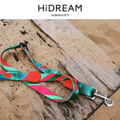 HiDream Adjustable Dog Leash - Paws Discovery 