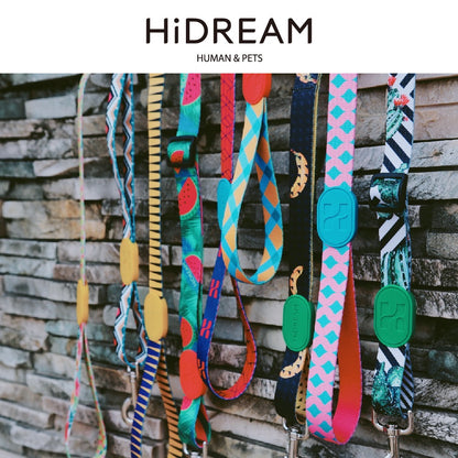 HiDream Adjustable Dog Leash - Paws Discovery 