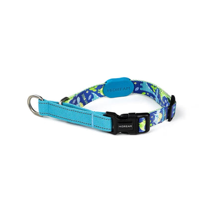 Half P-Chain Training Collar - Paws Discovery 