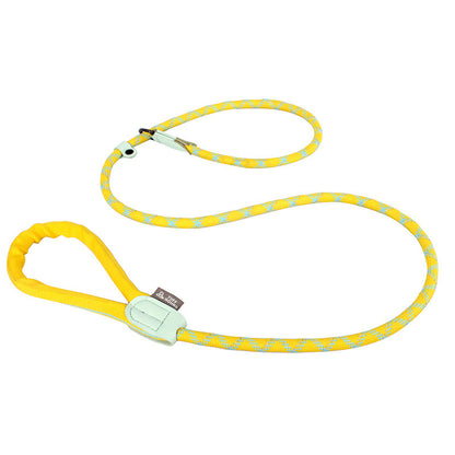 Nylon Rope Training P Type Leash - Paws Discovery 