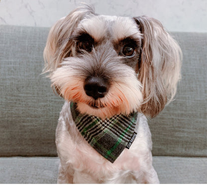 Pet Triangle Bandana Winter - Paws Discovery 