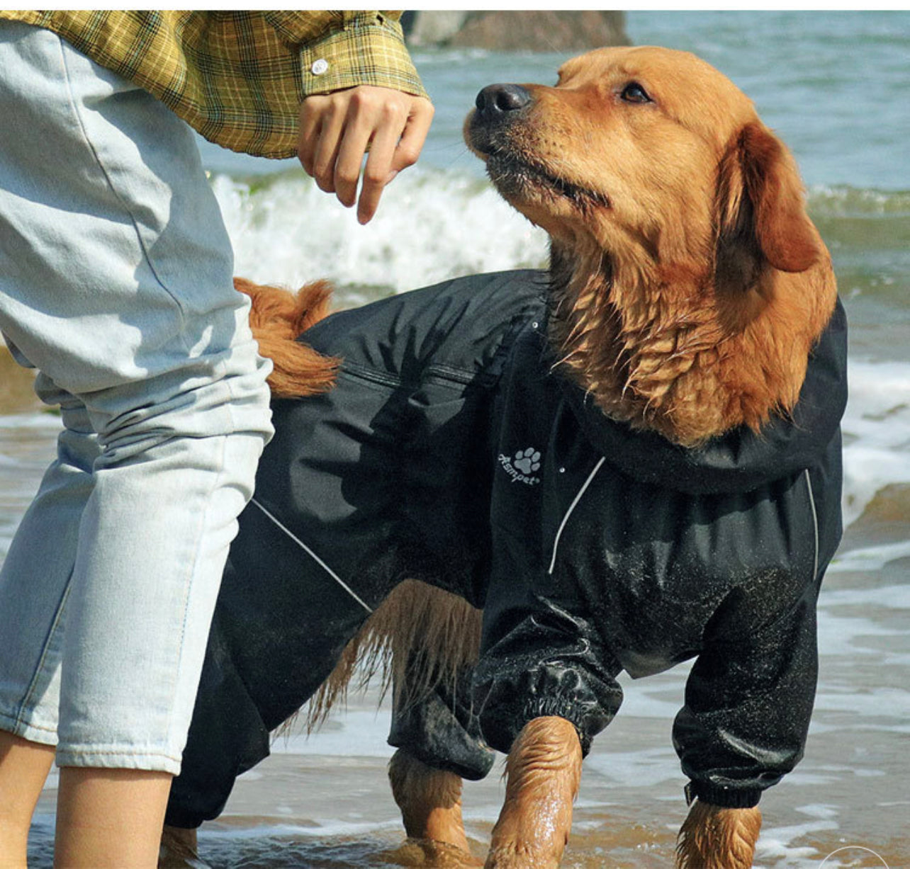 Four Legs Waterproof Windproof Bodysuit Jacket - Paws Discovery 