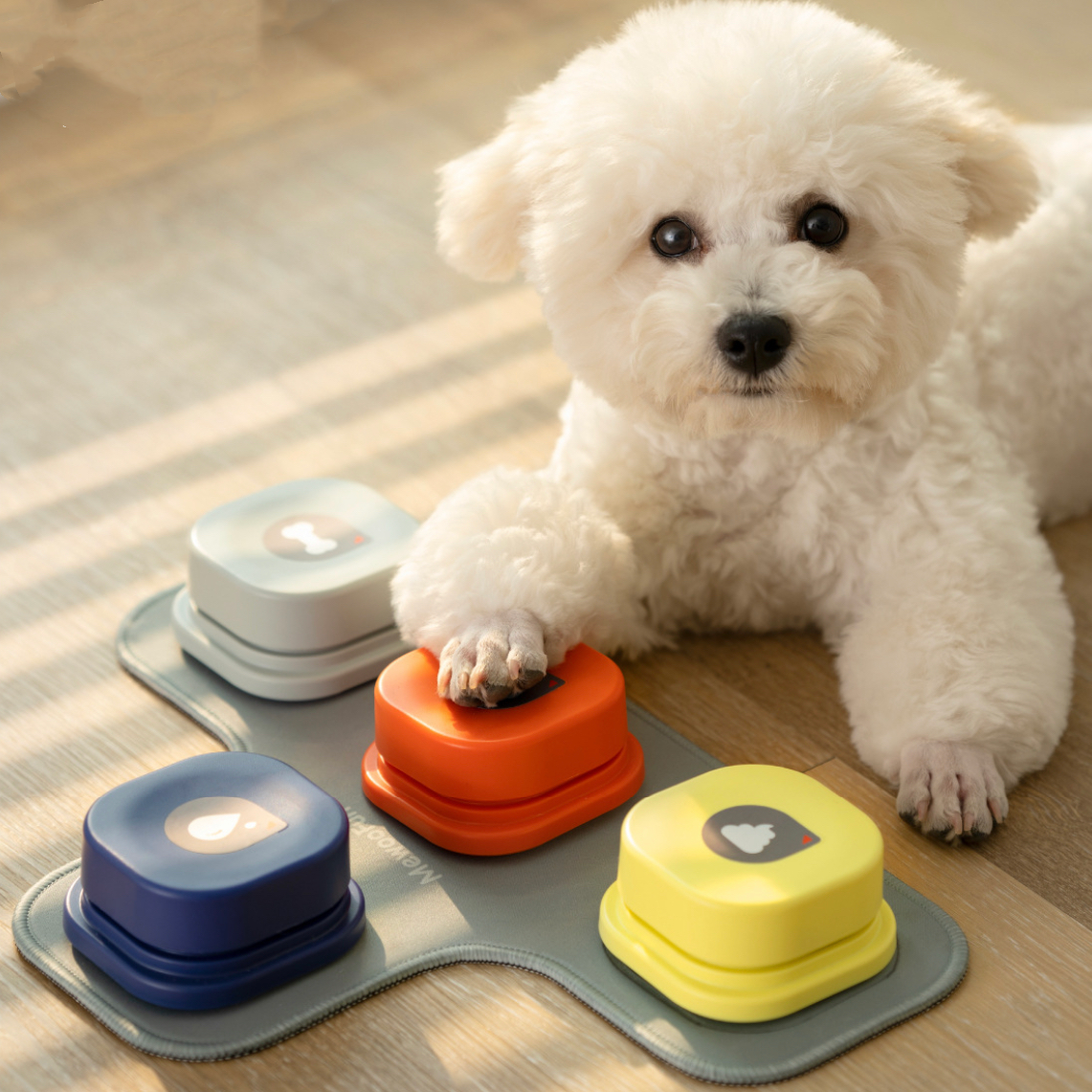 Recordable Training Buzzers communication Button - Paws Discovery 