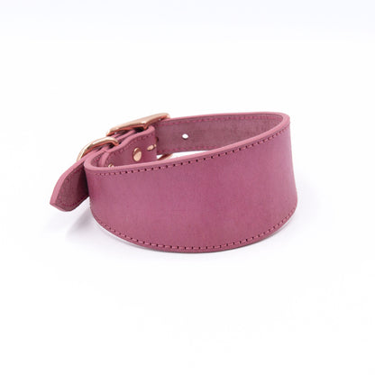 Wide Leather Collar - Paws Discovery 