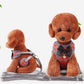 Cat Vest Harness with Leash