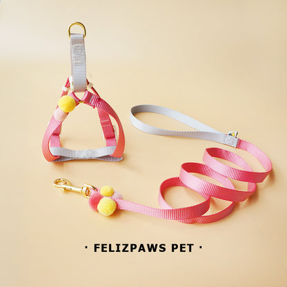 Small Breed Harness Set with Leash - Paws Discovery 