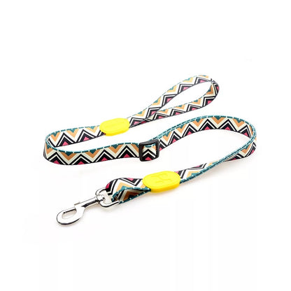 HiDream Adjustable Dog Leash - Paws Discovery 