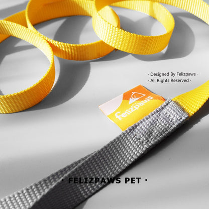 Small Breed Harness Set with Leash - Paws Discovery 