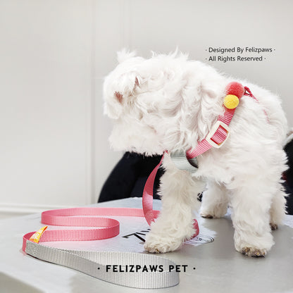 Small Breed Harness Set with Leash - Paws Discovery 