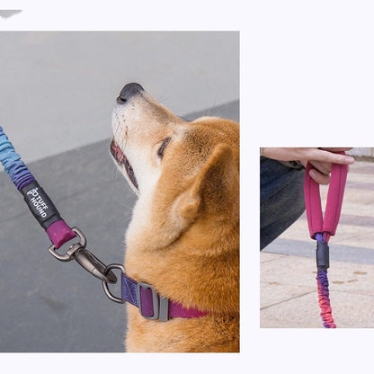 Shock Absorbing Padded Handle Dog Leash - Paws Discovery 