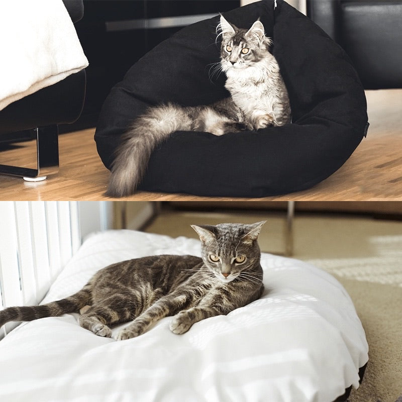 Foldable Cuddler Pet Bed - Paws Discovery 