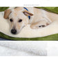 Dog Ultra Soft Sleeping Bag Pouch Bed