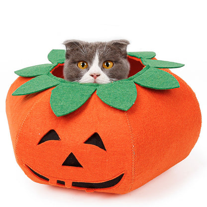 Halloween Costume - Paws Discovery 