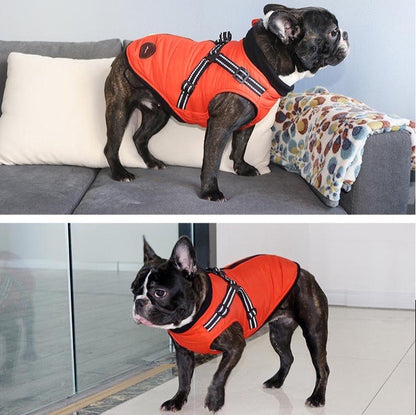 Winter Jacket Coat with Built-in Harness - Paws Discovery 