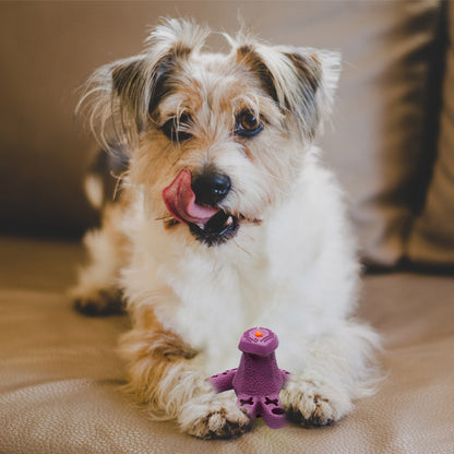 Natural Rubber Dog Toy for Aggressive Chewers - Paws Discovery 