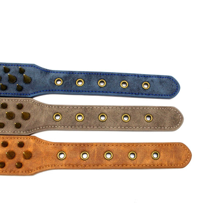 Anti-bite Sharp Spiked Studded Dog Collar - Paws Discovery 