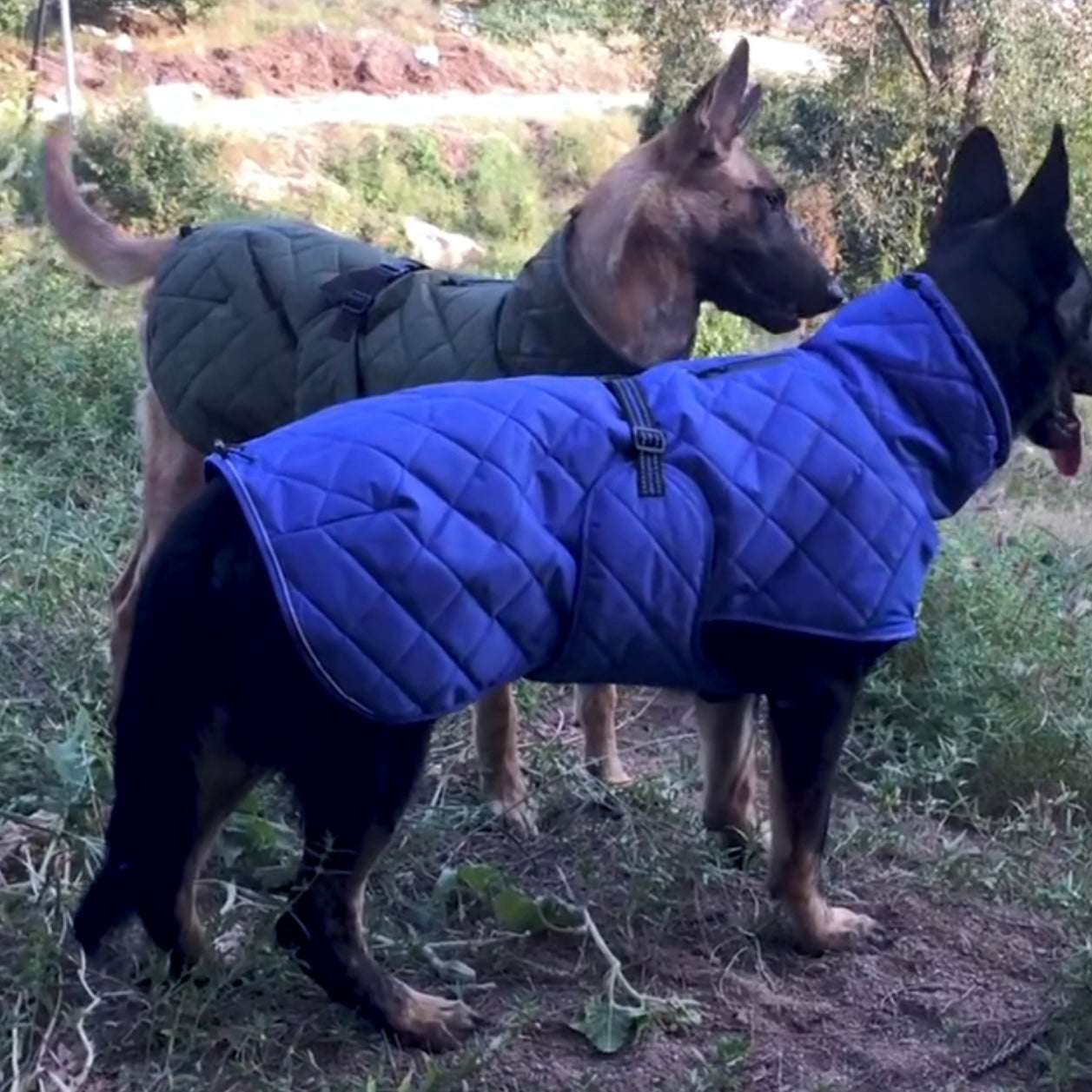 Winter Fleece Vest Jacket With Built-in Harness
