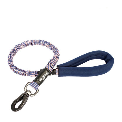 Shock Absorbing Padded Handle Dog Leash - Paws Discovery 