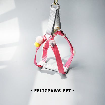 Small Breed Harness Set with Leash - Paws Discovery 