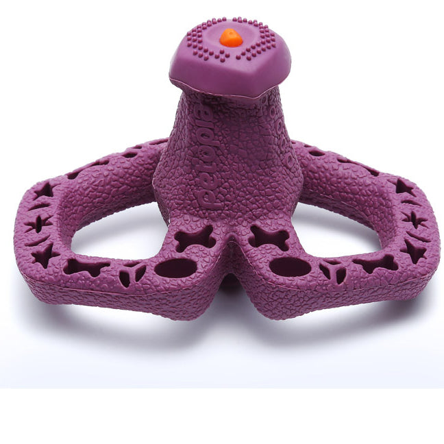 Natural Rubber Dog Toy for Aggressive Chewers Paws Discovery