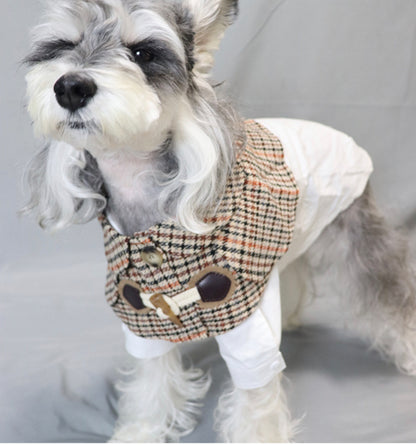 Detachable Fake Collar Winter Outfit - Paws Discovery 