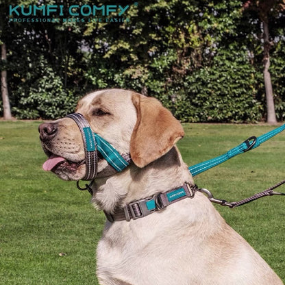 Dog Halti Training HeadCollar - Paws Discovery 