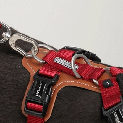 Adjustable No Pull Dog Harness - Paws Discovery 